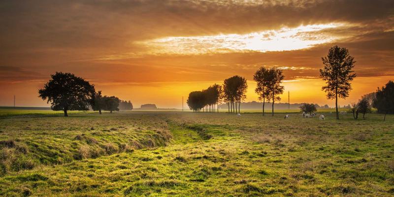 地下水硝酸盐污染的原位修复技术与工程评估 | 广东水元素水处理技术解析