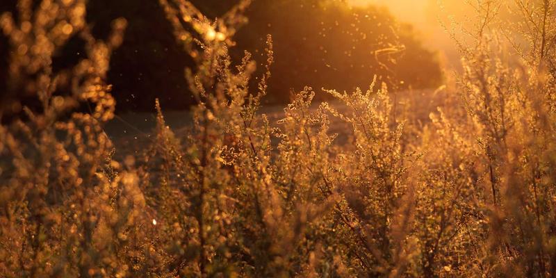 广东水元素：引领水处理技术创新，破解废水处理难题