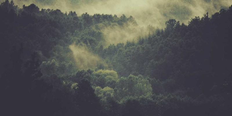 广东水元素解析:现代水处理设备与废水处理技术全攻略