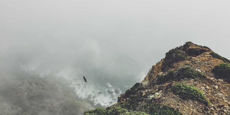 水处理技术17：创新工艺如何重塑广东水元素的废水处理新格局