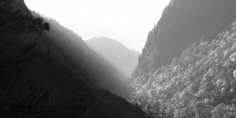 水处理技术深度解析:从废水处理到纯水系统的关键技术与设备